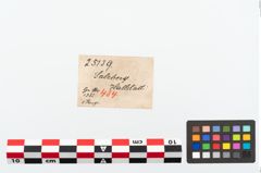 Etikett zu Bronzearmreif (NHMW-PRAE-025139)